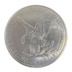 Silver Eagle Back (400x400)